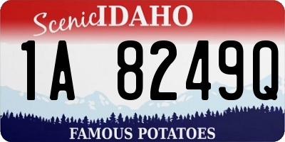 ID license plate 1A8249Q