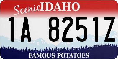 ID license plate 1A8251Z