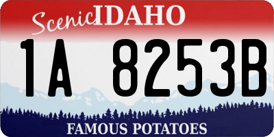 ID license plate 1A8253B