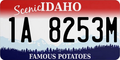 ID license plate 1A8253M