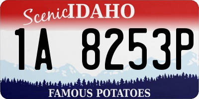 ID license plate 1A8253P