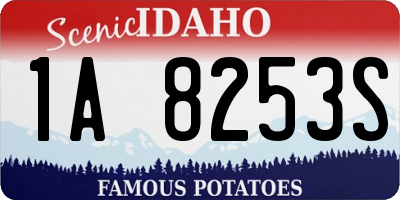 ID license plate 1A8253S
