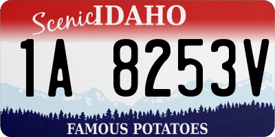 ID license plate 1A8253V