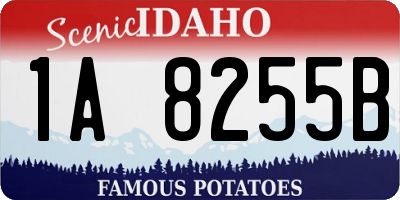 ID license plate 1A8255B