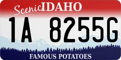 ID license plate 1A8255G