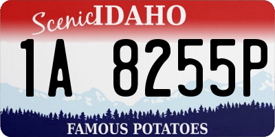 ID license plate 1A8255P
