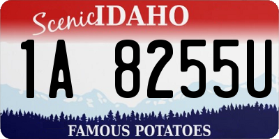 ID license plate 1A8255U
