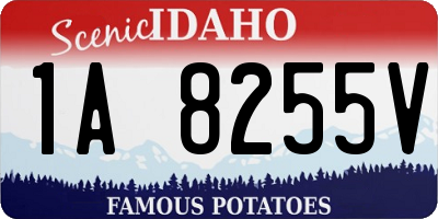 ID license plate 1A8255V