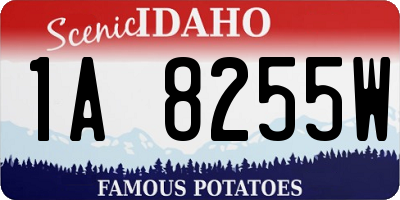 ID license plate 1A8255W