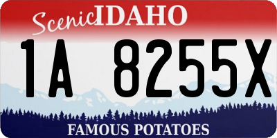 ID license plate 1A8255X