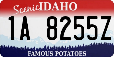ID license plate 1A8255Z