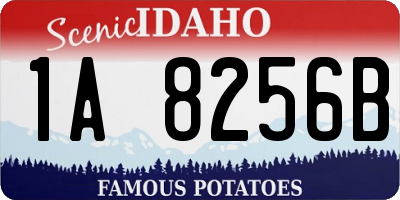 ID license plate 1A8256B