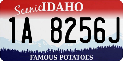 ID license plate 1A8256J