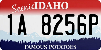 ID license plate 1A8256P
