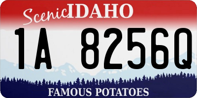 ID license plate 1A8256Q