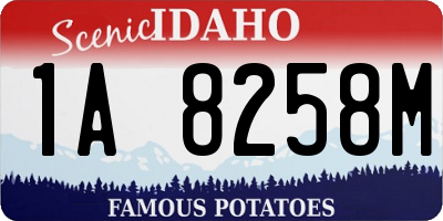 ID license plate 1A8258M