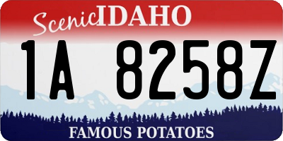 ID license plate 1A8258Z