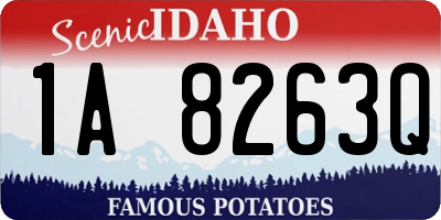ID license plate 1A8263Q