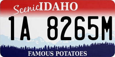 ID license plate 1A8265M