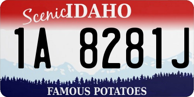 ID license plate 1A8281J