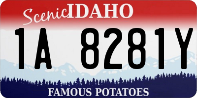 ID license plate 1A8281Y