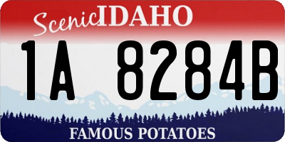 ID license plate 1A8284B