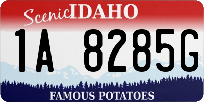 ID license plate 1A8285G