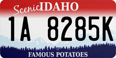 ID license plate 1A8285K