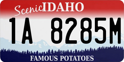ID license plate 1A8285M