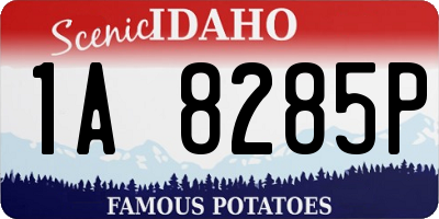 ID license plate 1A8285P