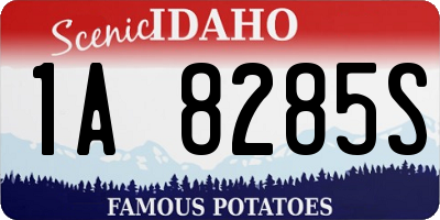 ID license plate 1A8285S