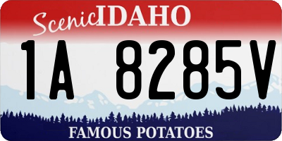 ID license plate 1A8285V