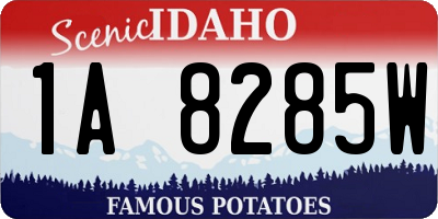 ID license plate 1A8285W