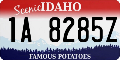 ID license plate 1A8285Z