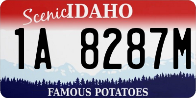 ID license plate 1A8287M