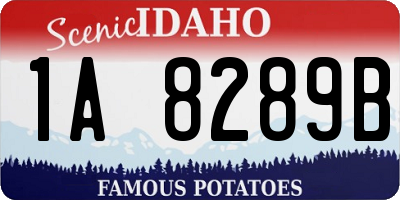 ID license plate 1A8289B