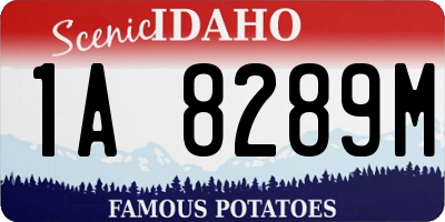 ID license plate 1A8289M