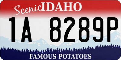 ID license plate 1A8289P