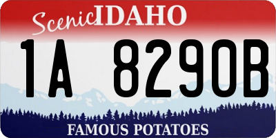 ID license plate 1A8290B