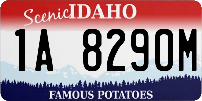 ID license plate 1A8290M