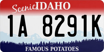 ID license plate 1A8291K