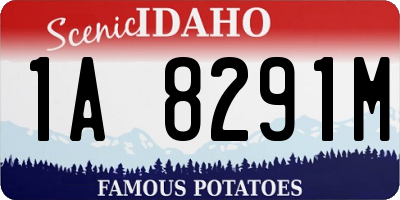 ID license plate 1A8291M