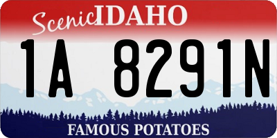 ID license plate 1A8291N