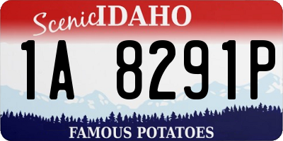 ID license plate 1A8291P