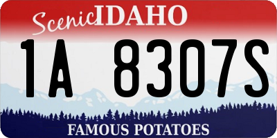 ID license plate 1A8307S