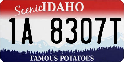 ID license plate 1A8307T