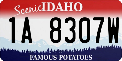 ID license plate 1A8307W