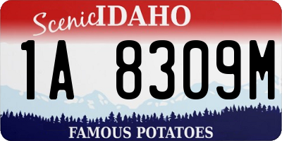 ID license plate 1A8309M