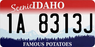 ID license plate 1A8313J