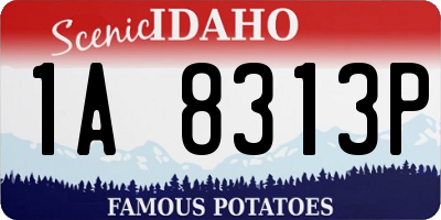 ID license plate 1A8313P